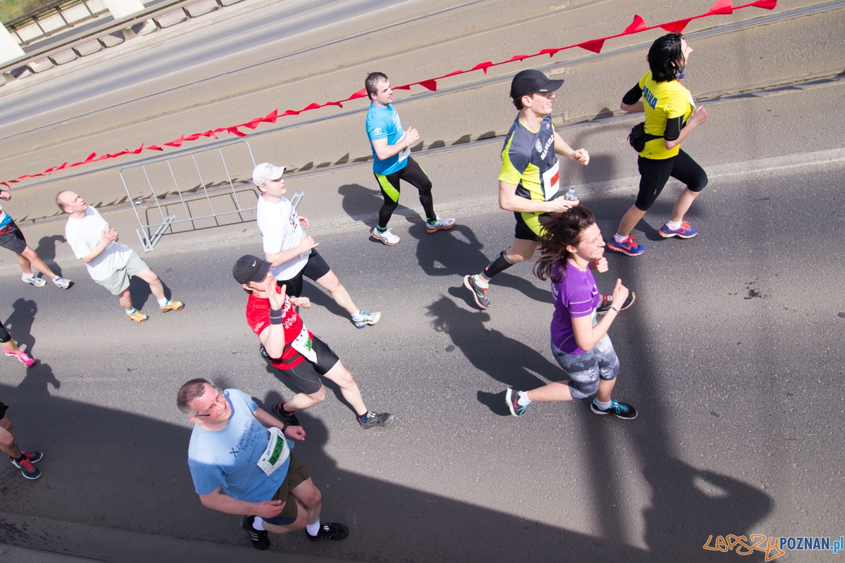 8 Poznań Półmaraton Foto: lepszyPOZNAN.pl / Piotr Rychter 8 Poznań Półmaraton Foto: lepszyPOZNAN.pl / Piotr Rychter