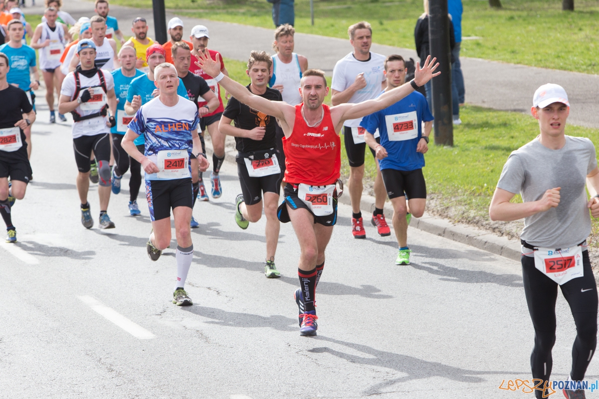 8 Poznań Półmaraton Foto: lepszyPOZNAN.pl / Piotr Rychter 8 Poznań Półmaraton Foto: lepszyPOZNAN.pl / Piotr Rychter