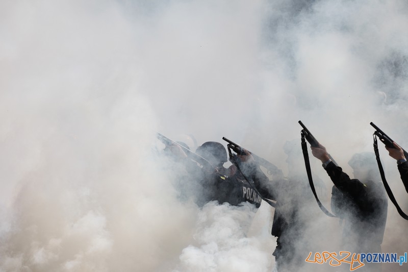 Policyjne konie zdawały egzamin bojowy Foto: KW Policji w Poznaniu Policyjne konie zdawały egzamin bojowy Foto: KW Policji w Poznaniu
