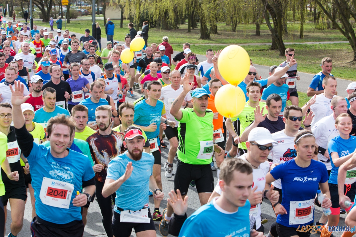 8 Poznań Półmaraton Foto: lepszyPOZNAN.pl / Piotr Rychter 8 Poznań Półmaraton Foto: lepszyPOZNAN.pl / Piotr Rychter