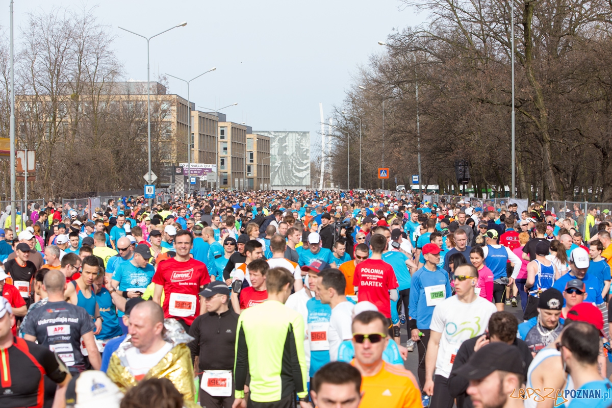 8 Poznań Półmaraton Foto: lepszyPOZNAN.pl / Piotr Rychter 8 Poznań Półmaraton Foto: lepszyPOZNAN.pl / Piotr Rychter