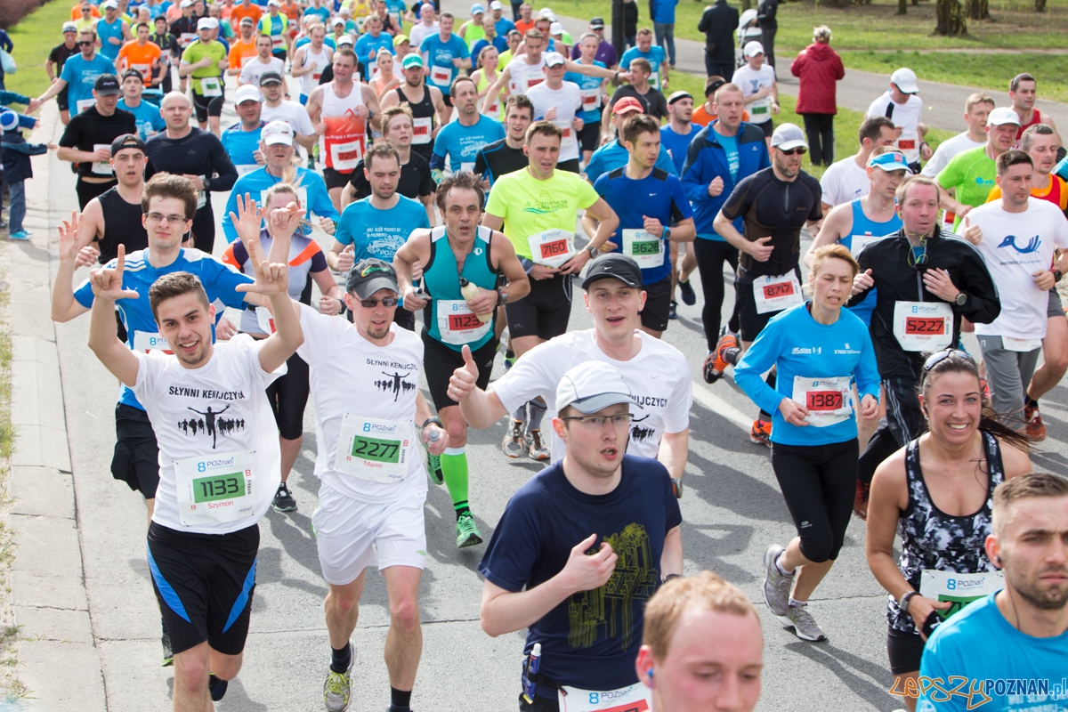 8 Poznań Półmaraton Foto: lepszyPOZNAN.pl / Piotr Rychter 8 Poznań Półmaraton Foto: lepszyPOZNAN.pl / Piotr Rychter