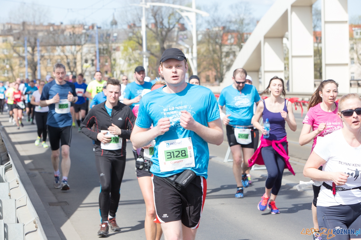 8 Poznań Półmaraton Foto: lepszyPOZNAN.pl / Piotr Rychter 8 Poznań Półmaraton Foto: lepszyPOZNAN.pl / Piotr Rychter
