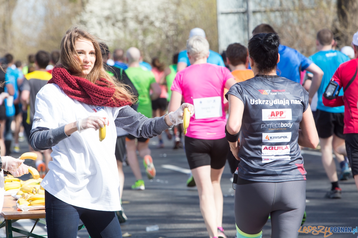 8 Poznań Półmaraton Foto: lepszyPOZNAN.pl / Piotr Rychter 8 Poznań Półmaraton Foto: lepszyPOZNAN.pl / Piotr Rychter