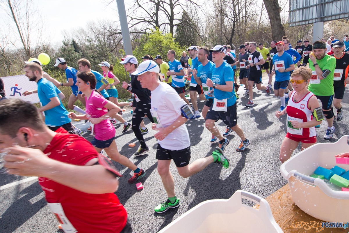 8 Poznań Półmaraton Foto: lepszyPOZNAN.pl / Piotr Rychter 8 Poznań Półmaraton Foto: lepszyPOZNAN.pl / Piotr Rychter