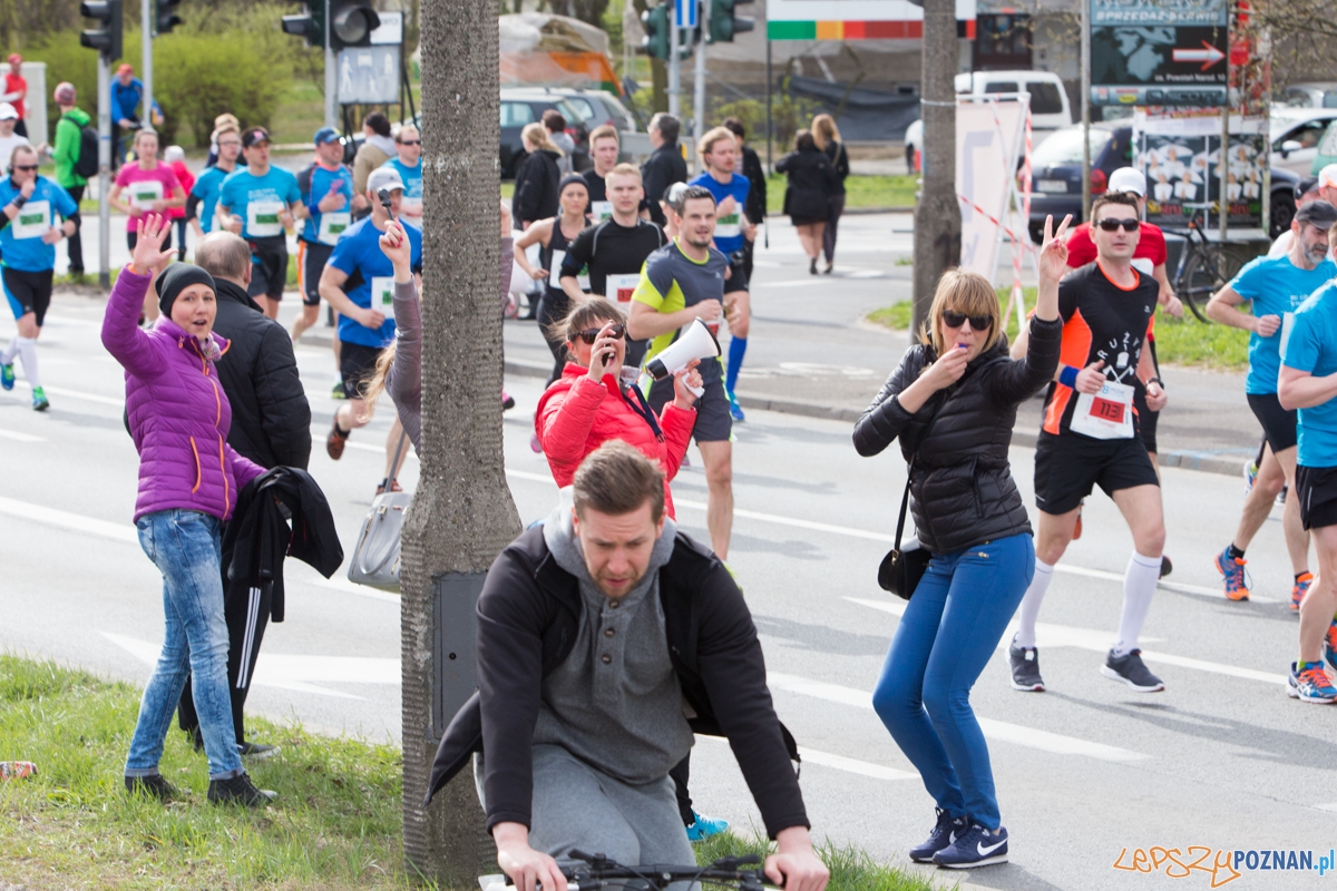 8 Poznań Półmaraton Foto: lepszyPOZNAN.pl / Piotr Rychter 8 Poznań Półmaraton Foto: lepszyPOZNAN.pl / Piotr Rychter