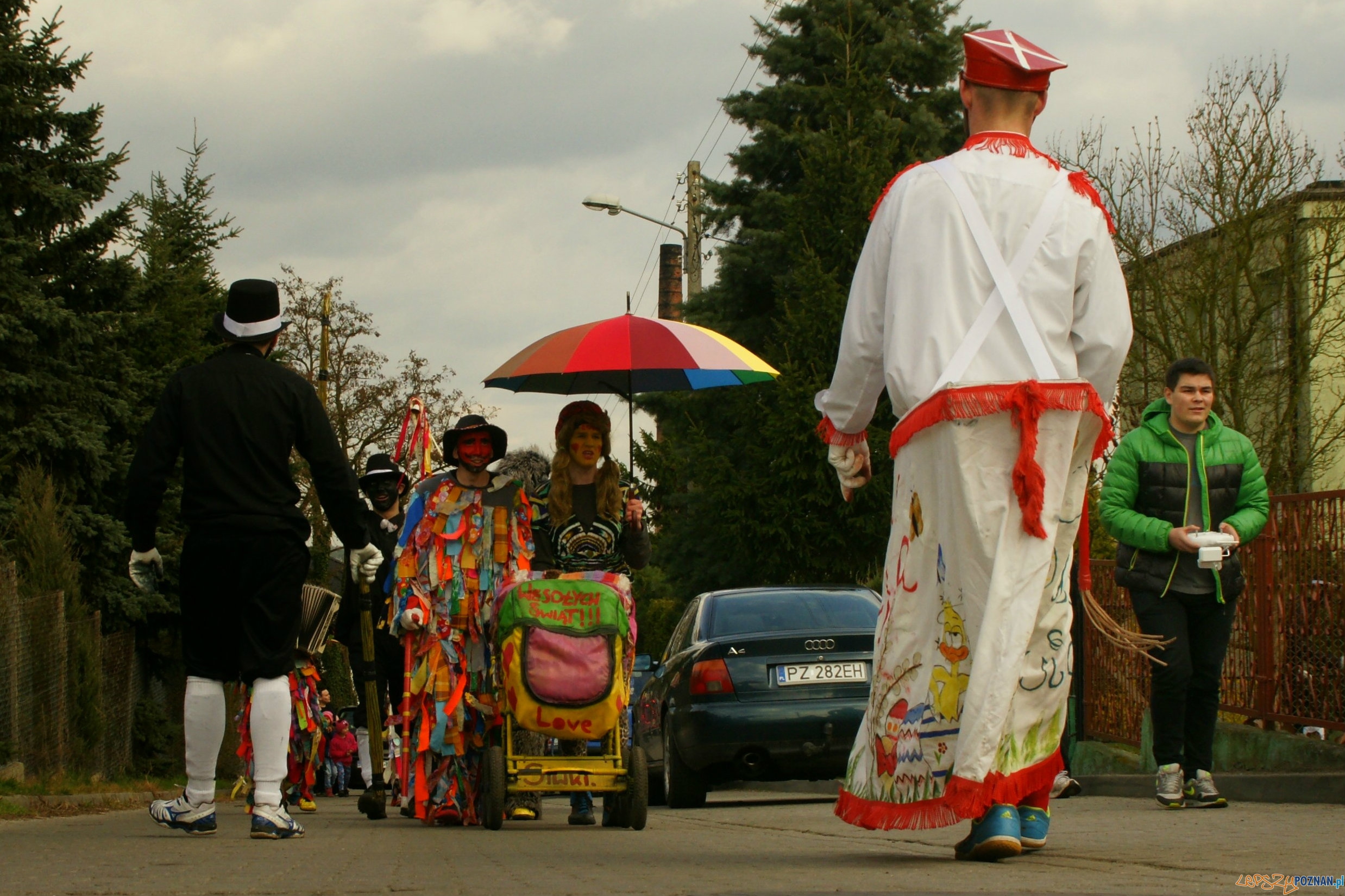 Siwki w Mosinie Foto: lepszyPOZNAN.pl / Przemysław Faleński Siwki w Mosinie Foto: lepszyPOZNAN.pl / Przemysław Faleński