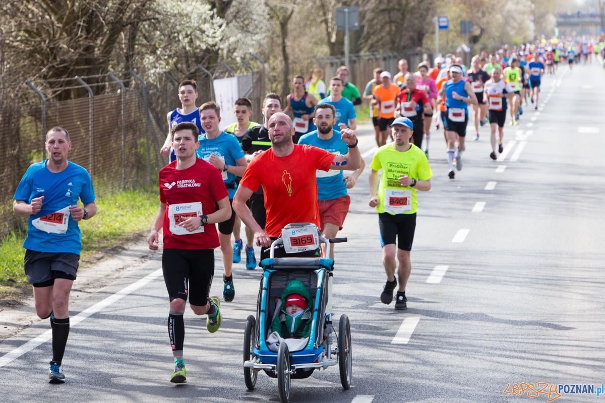 8 Poznań Półmaraton Foto: lepszyPOZNAN.pl / Piotr Rychter 8 Poznań Półmaraton Foto: lepszyPOZNAN.pl / Piotr Rychter