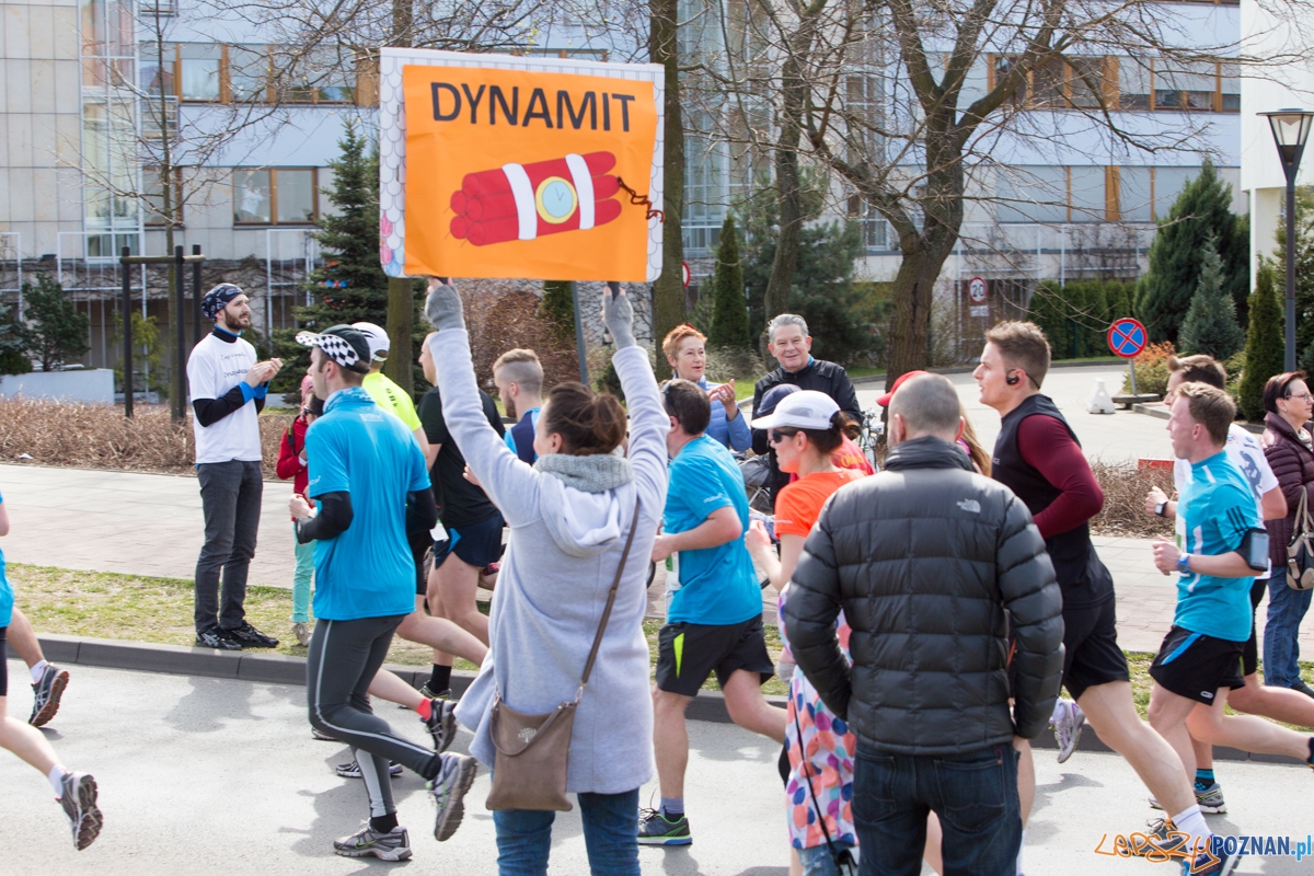 8 Poznań Półmaraton Foto: lepszyPOZNAN.pl / Piotr Rychter 8 Poznań Półmaraton Foto: lepszyPOZNAN.pl / Piotr Rychter