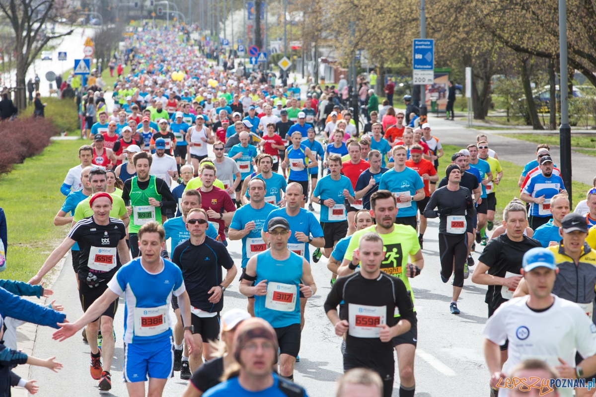 8 Poznań Półmaraton Foto: lepszyPOZNAN.pl / Piotr Rychter 8 Poznań Półmaraton Foto: lepszyPOZNAN.pl / Piotr Rychter