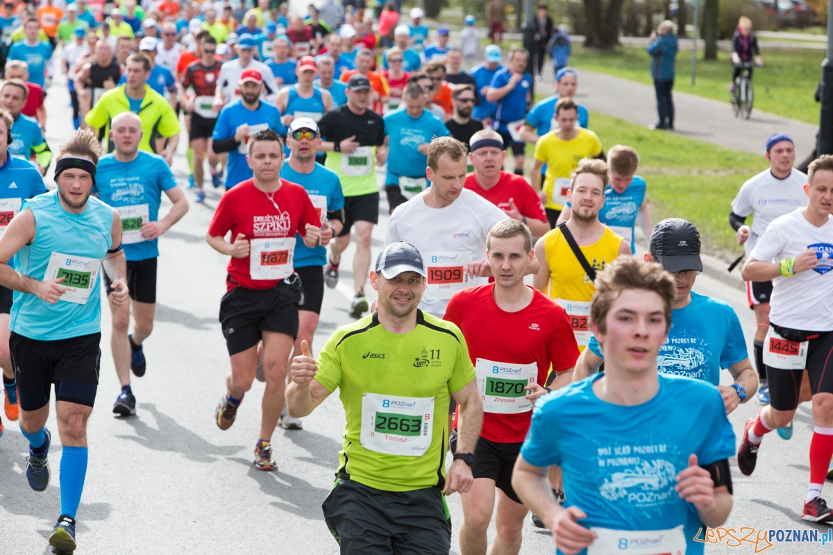 8 Poznań Półmaraton Foto: lepszyPOZNAN.pl / Piotr Rychter 8 Poznań Półmaraton Foto: lepszyPOZNAN.pl / Piotr Rychter