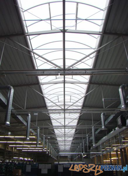 Amica we Wronkach nowa hala Foto: probudexe.pl Amica we Wronkach nowa hala Foto: probudexe.pl