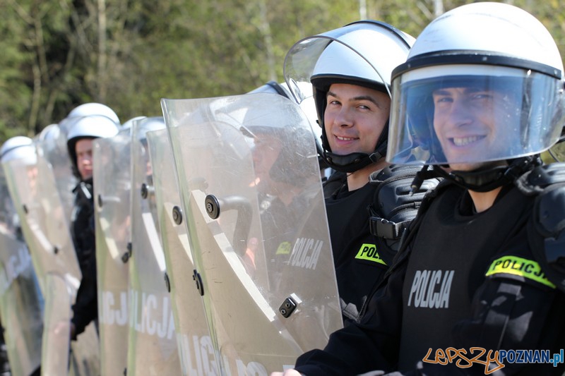 Policyjne konie zdawały egzamin bojowy Foto: KW Policji w Poznaniu Policyjne konie zdawały egzamin bojowy Foto: KW Policji w Poznaniu