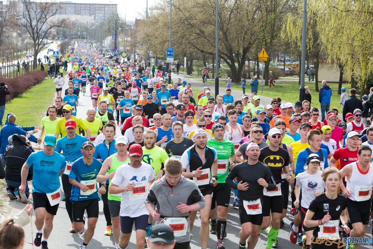 8 Poznań Półmaraton Foto: lepszyPOZNAN.pl / Piotr Rychter 8 Poznań Półmaraton Foto: lepszyPOZNAN.pl / Piotr Rychter