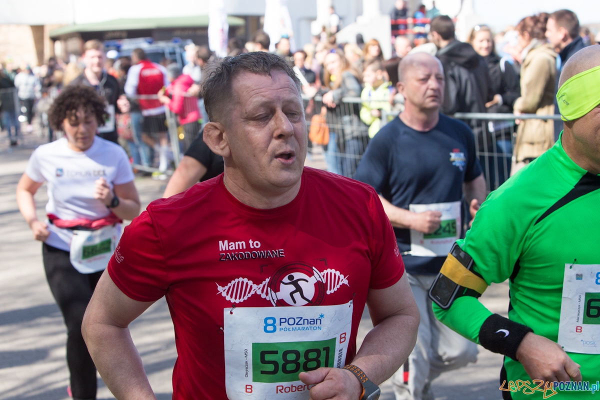 8 Poznań Półmaraton Foto: lepszyPOZNAN.pl / Piotr Rychter 8 Poznań Półmaraton Foto: lepszyPOZNAN.pl / Piotr Rychter