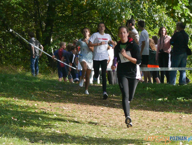 Memoriał Bronisława Szwarca  Foto: POSiR