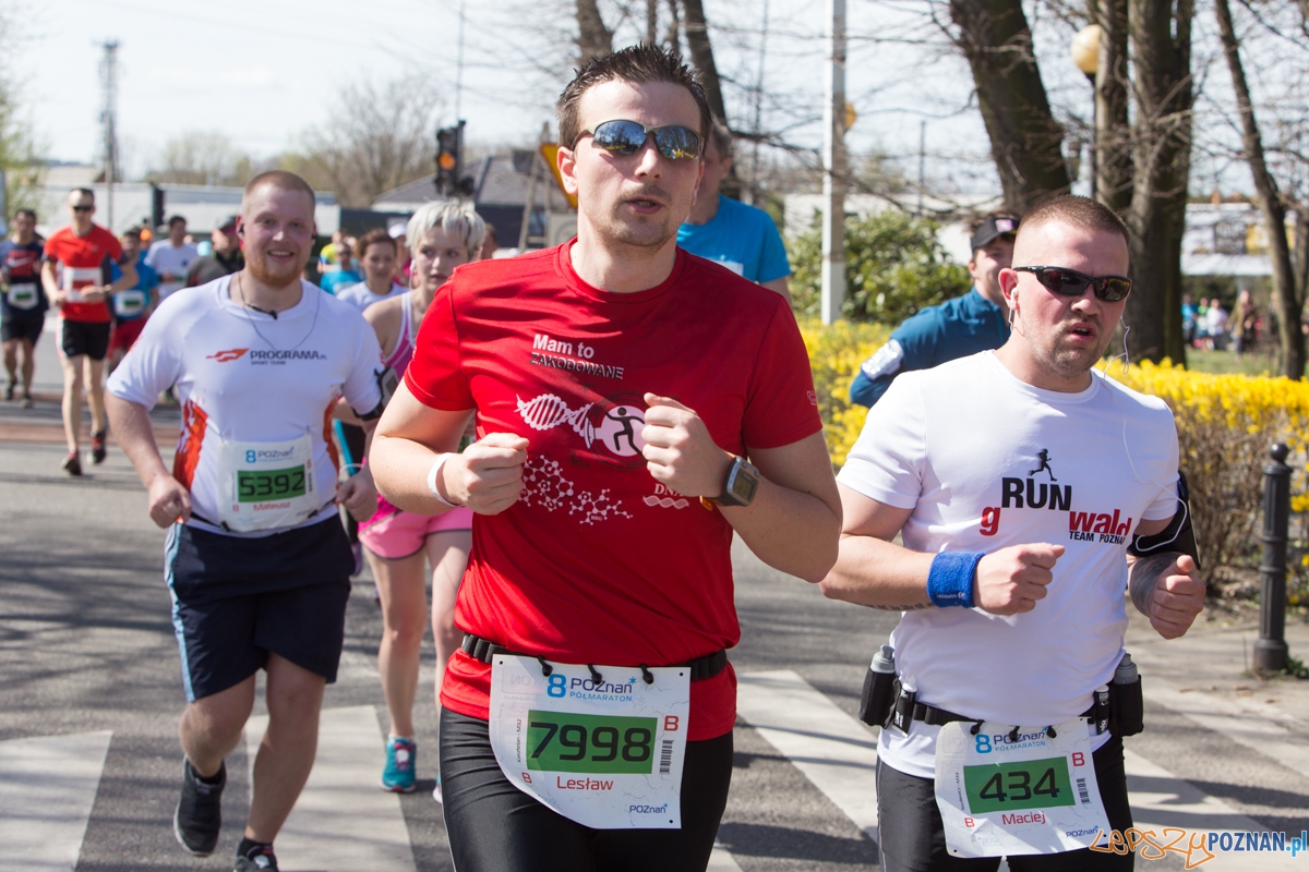 8 Poznań Półmaraton Foto: lepszyPOZNAN.pl / Piotr Rychter 8 Poznań Półmaraton Foto: lepszyPOZNAN.pl / Piotr Rychter