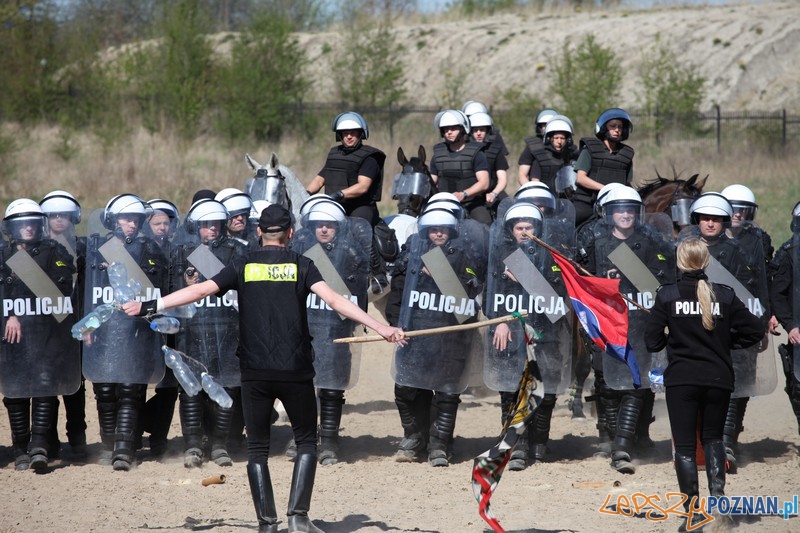 Policyjne konie zdawały egzamin bojowy Foto: KW Policji w Poznaniu Policyjne konie zdawały egzamin bojowy Foto: KW Policji w Poznaniu