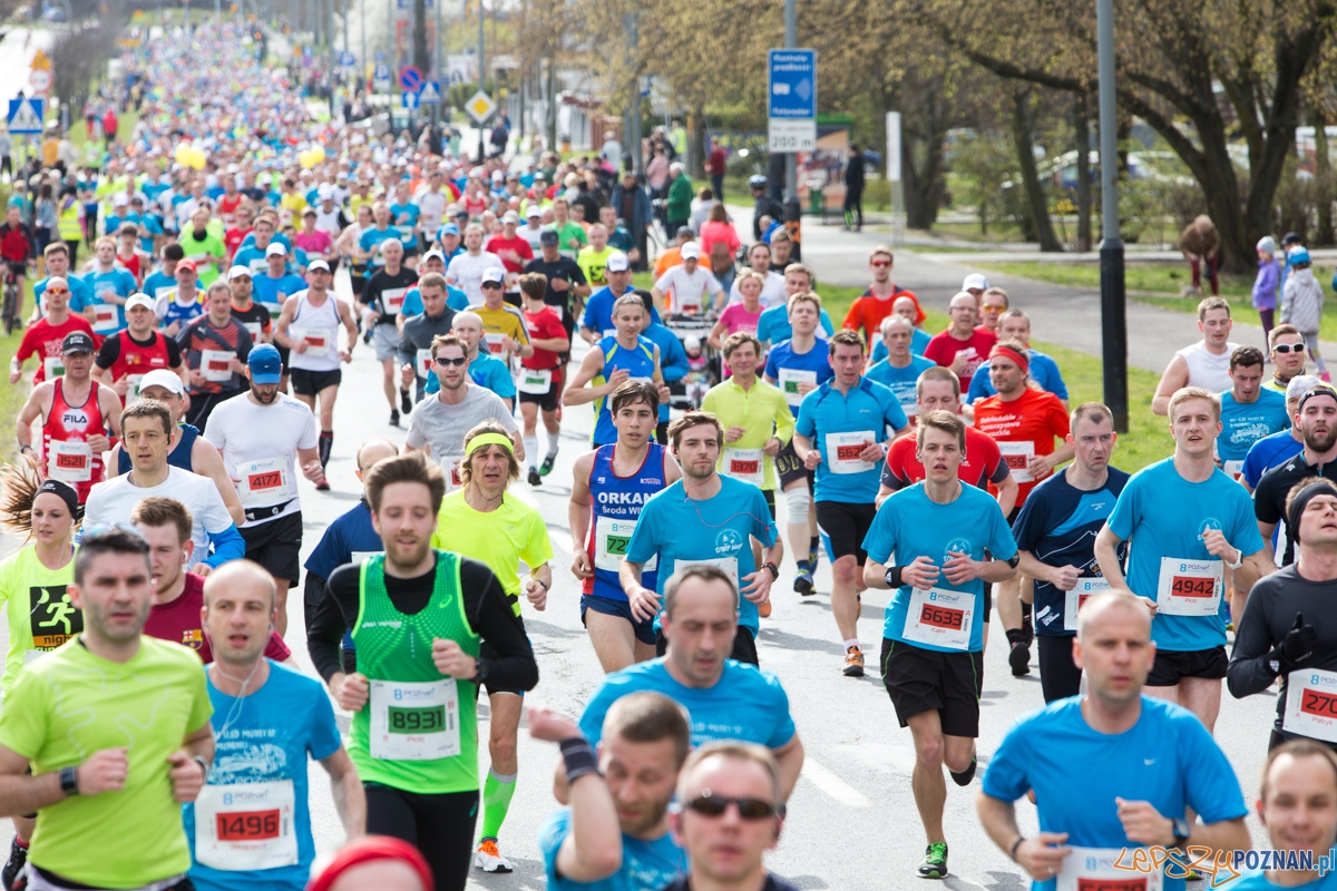 8 Poznań Półmaraton Foto: lepszyPOZNAN.pl / Piotr Rychter 8 Poznań Półmaraton Foto: lepszyPOZNAN.pl / Piotr Rychter