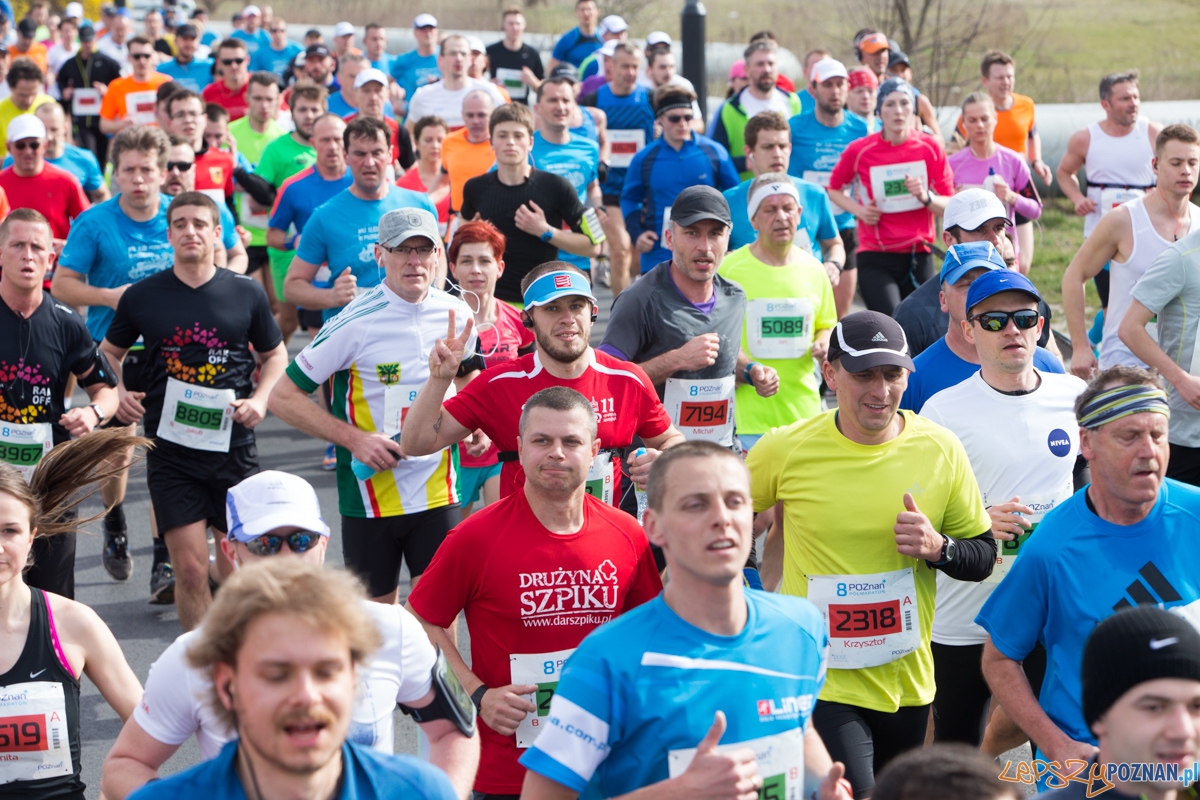 8 Poznań Półmaraton Foto: lepszyPOZNAN.pl / Piotr Rychter 8 Poznań Półmaraton Foto: lepszyPOZNAN.pl / Piotr Rychter