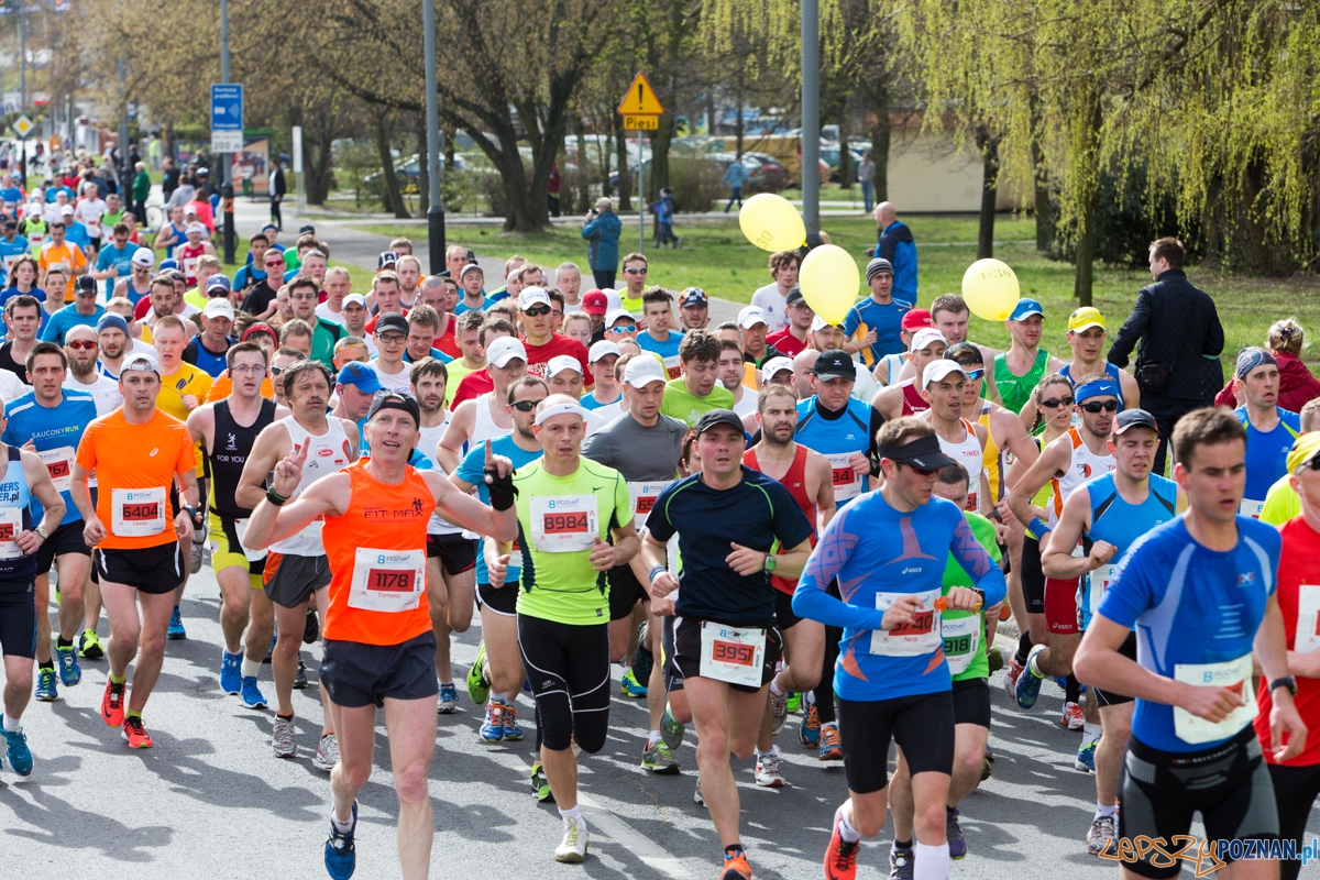 8 Poznań Półmaraton Foto: lepszyPOZNAN.pl / Piotr Rychter 8 Poznań Półmaraton Foto: lepszyPOZNAN.pl / Piotr Rychter