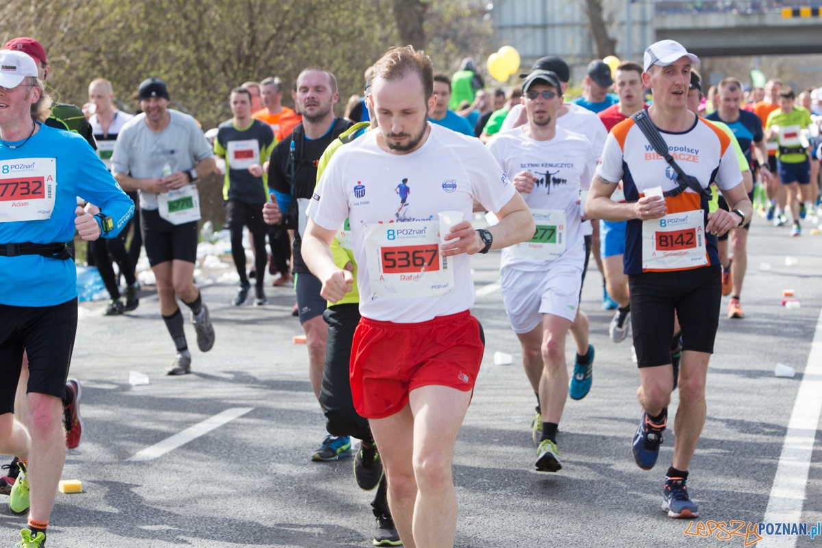 8 Poznań Półmaraton Foto: lepszyPOZNAN.pl / Piotr Rychter 8 Poznań Półmaraton Foto: lepszyPOZNAN.pl / Piotr Rychter
