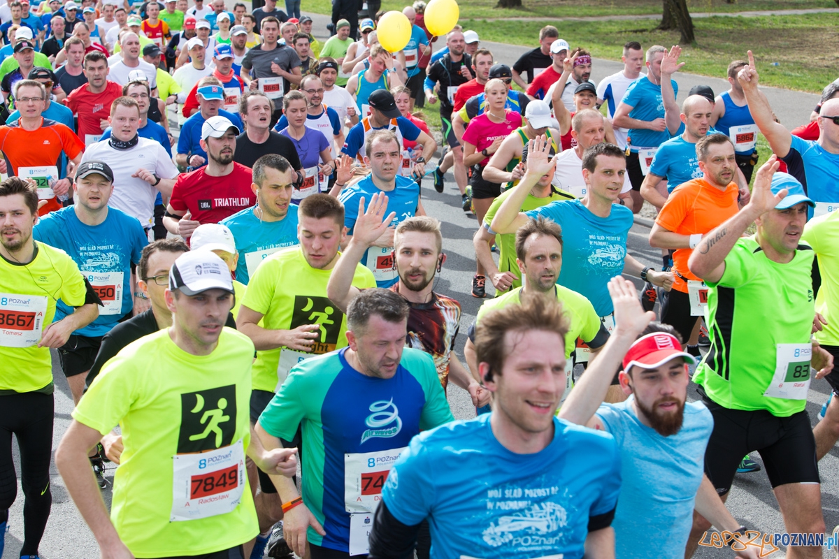 8 Poznań Półmaraton Foto: lepszyPOZNAN.pl / Piotr Rychter 8 Poznań Półmaraton Foto: lepszyPOZNAN.pl / Piotr Rychter