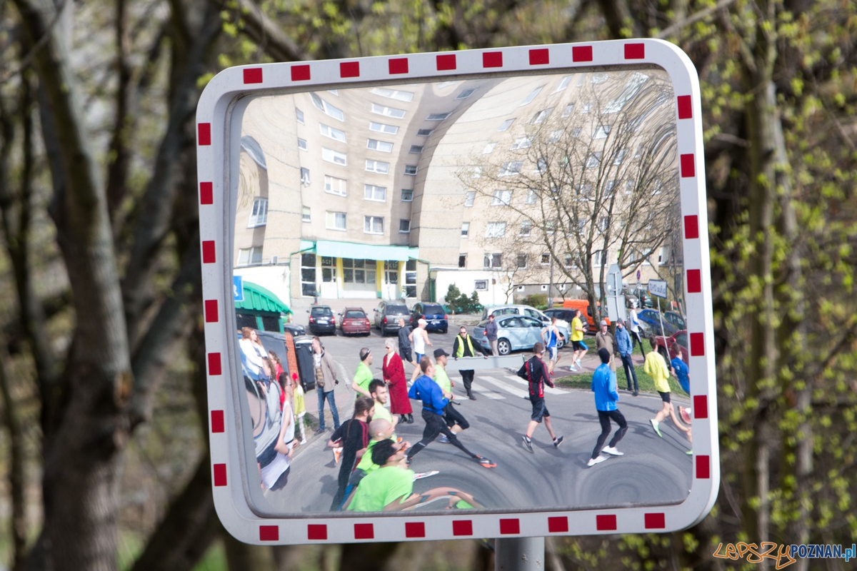 8 Poznań Półmaraton Foto: lepszyPOZNAN.pl / Piotr Rychter 8 Poznań Półmaraton Foto: lepszyPOZNAN.pl / Piotr Rychter