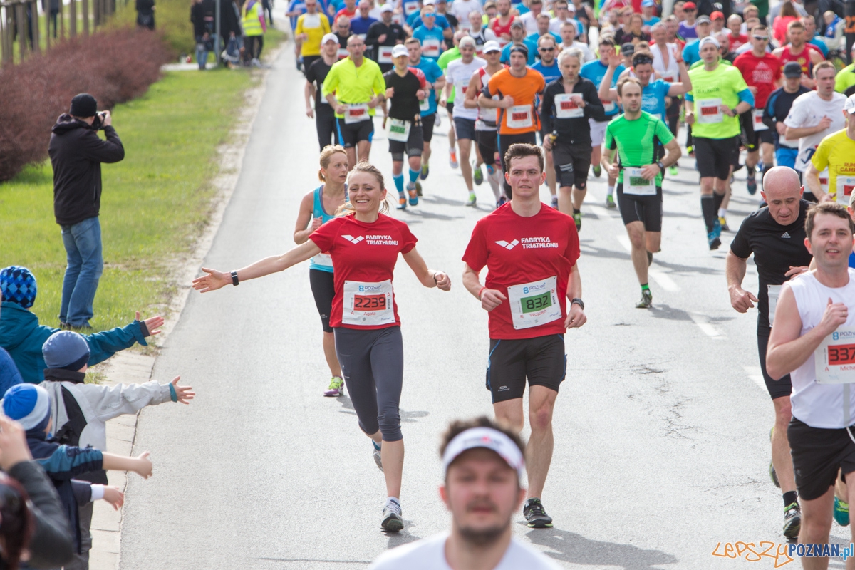 8 Poznań Półmaraton Foto: lepszyPOZNAN.pl / Piotr Rychter 8 Poznań Półmaraton Foto: lepszyPOZNAN.pl / Piotr Rychter