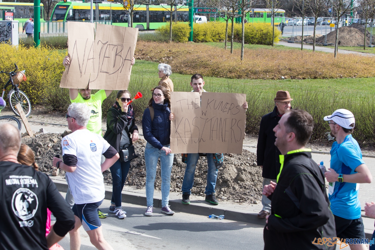 8 Poznań Półmaraton Foto: lepszyPOZNAN.pl / Piotr Rychter 8 Poznań Półmaraton Foto: lepszyPOZNAN.pl / Piotr Rychter