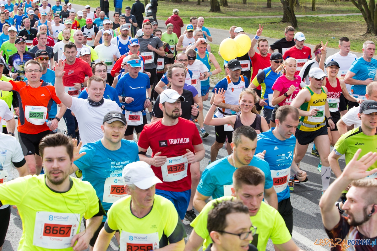 8 Poznań Półmaraton Foto: lepszyPOZNAN.pl / Piotr Rychter 8 Poznań Półmaraton Foto: lepszyPOZNAN.pl / Piotr Rychter