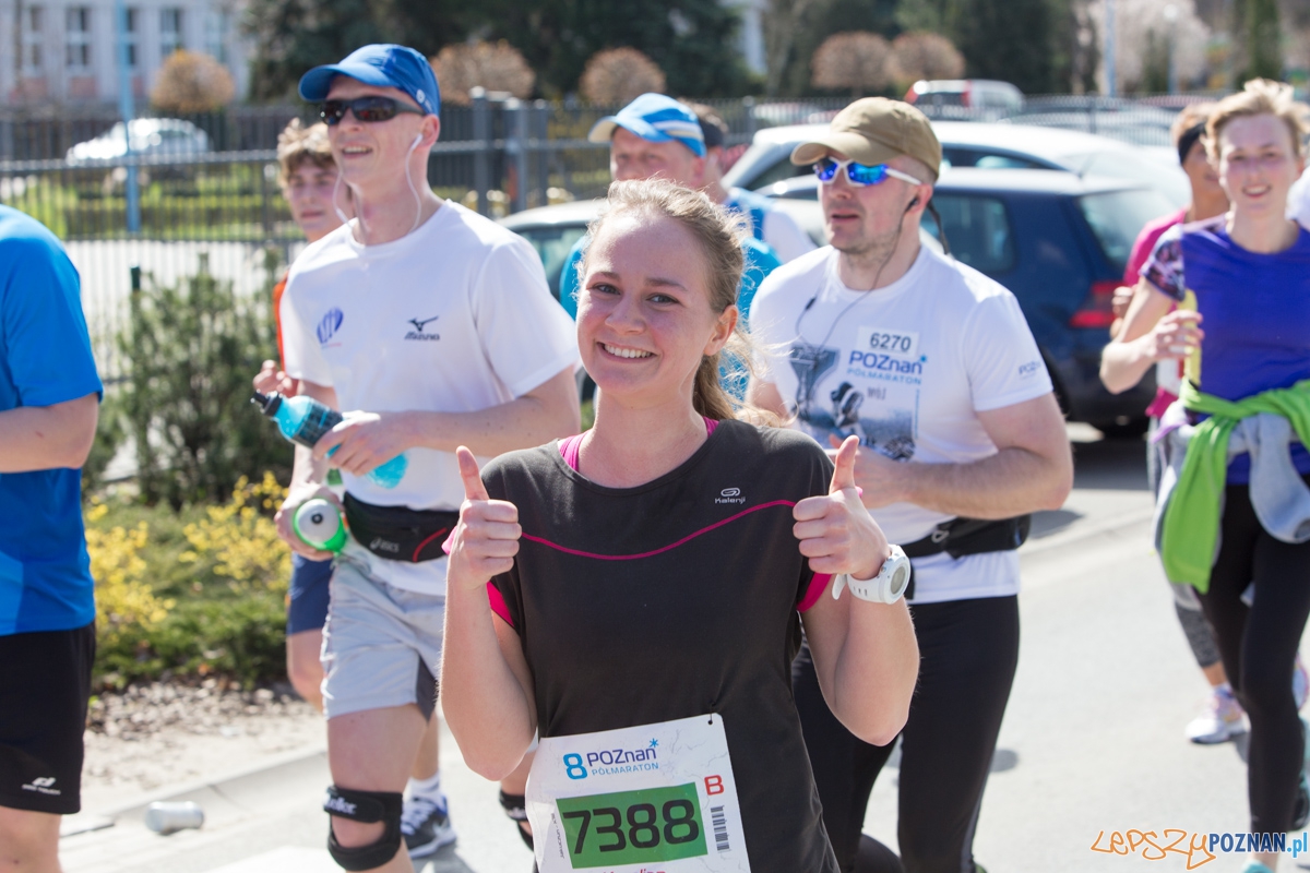 8 Poznań Półmaraton Foto: lepszyPOZNAN.pl / Piotr Rychter 8 Poznań Półmaraton Foto: lepszyPOZNAN.pl / Piotr Rychter