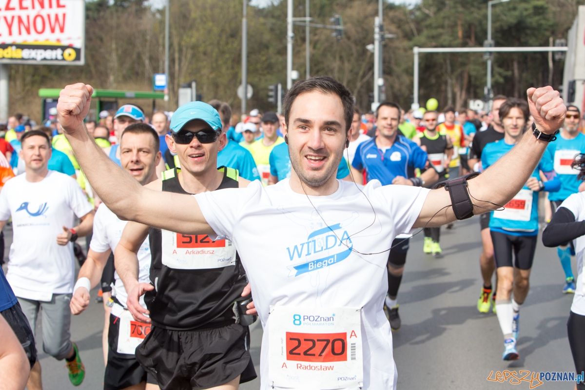 8 Poznań Półmaraton Foto: lepszyPOZNAN.pl / Piotr Rychter 8 Poznań Półmaraton Foto: lepszyPOZNAN.pl / Piotr Rychter
