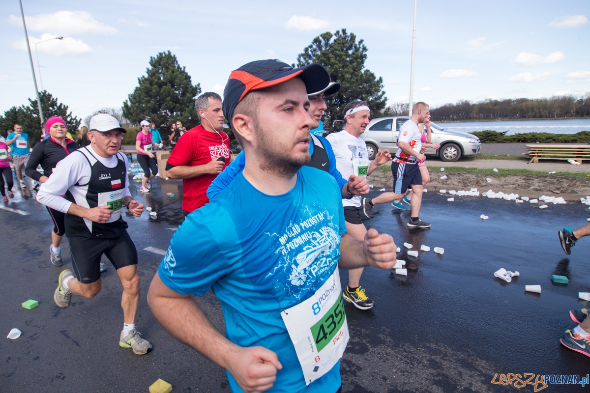 8 Poznań Półmaraton Foto: lepszyPOZNAN.pl / Piotr Rychter 8 Poznań Półmaraton Foto: lepszyPOZNAN.pl / Piotr Rychter