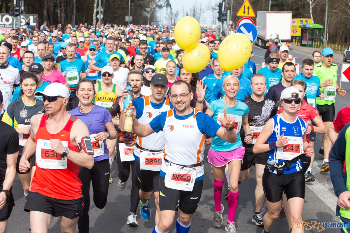8 Poznań Półmaraton Foto: lepszyPOZNAN.pl / Piotr Rychter 8 Poznań Półmaraton Foto: lepszyPOZNAN.pl / Piotr Rychter