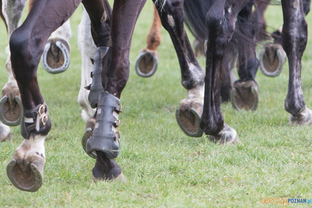 XXX Dni Ułana Foto: lepszyPOZNAN.pl / Piotr Rychter XXX Dni Ułana Foto: lepszyPOZNAN.pl / Piotr Rychter