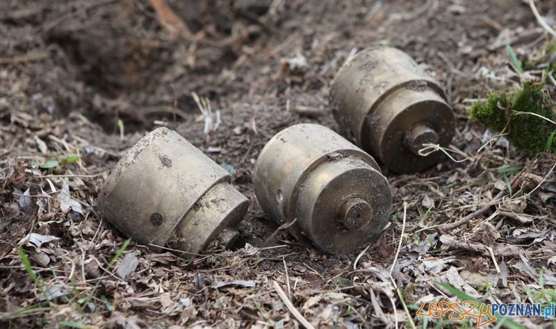 Skradziony kobalt odnaleziony Foto: KW POLICJI W POZNANIU Skradziony kobalt odnaleziony Foto: KW POLICJI W POZNANIU