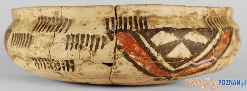 Wrocławskie skarby w Muzeum Archeologicznym (2) Foto: Muzeum Archeologiczne Wrocławskie skarby w Muzeum Archeologicznym (2) Foto: Muzeum Archeologiczne