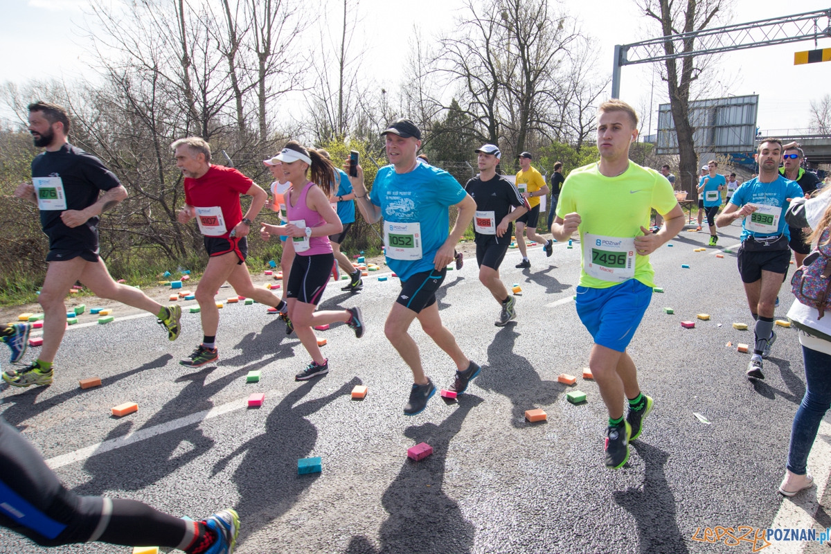 8 Poznań Półmaraton Foto: lepszyPOZNAN.pl / Piotr Rychter 8 Poznań Półmaraton Foto: lepszyPOZNAN.pl / Piotr Rychter