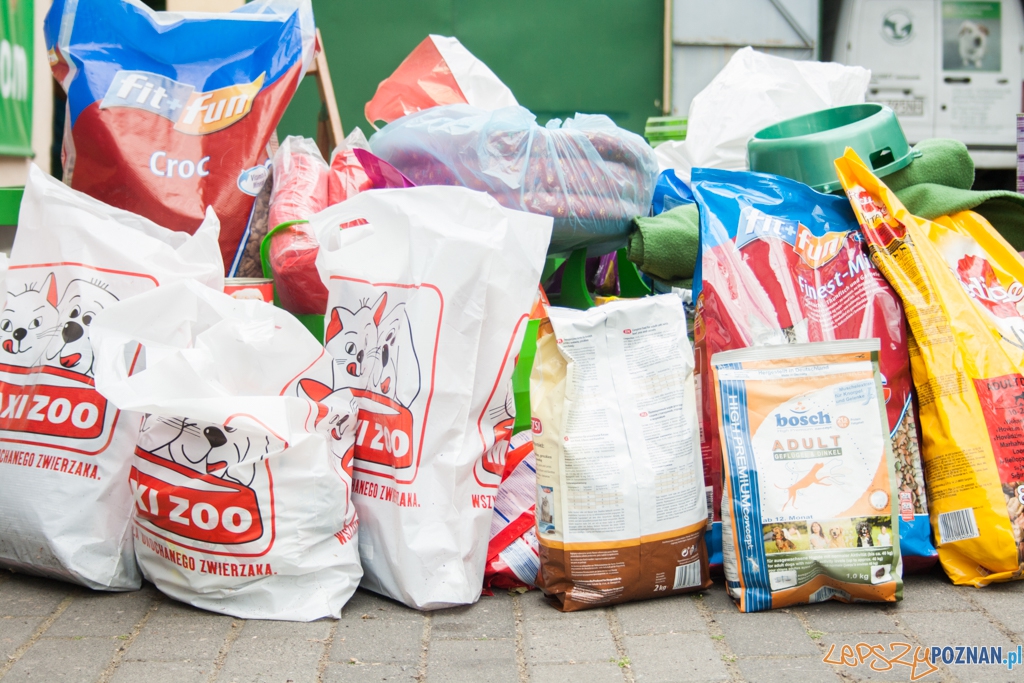 51. urodziny schroniska w Poznaniu (30.05.2015) Foto: © Karolina Kiraga 51. urodziny schroniska w Poznaniu (30.05.2015) Foto: © Karolina Kiraga