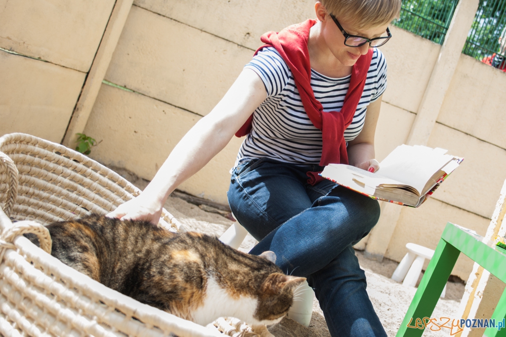 51. urodziny schroniska w Poznaniu (30.05.2015) Foto: © Karolina Kiraga 51. urodziny schroniska w Poznaniu (30.05.2015) Foto: © Karolina Kiraga