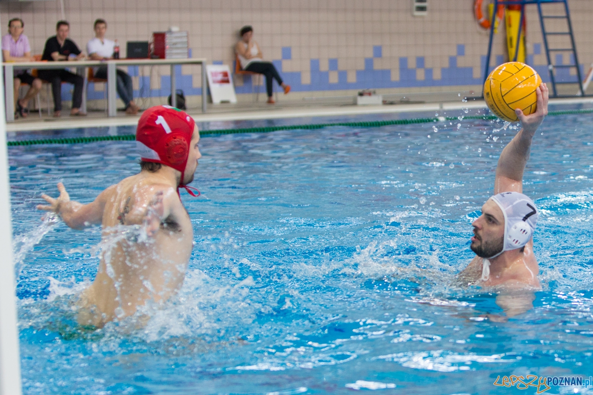 DSW Waterpolo Poznań - UKPW Legia Warszawa Foto: lepszyPOZNAN.pl / Piotr Rychter DSW Waterpolo Poznań - UKPW Legia Warszawa Foto: lepszyPOZNAN.pl / Piotr Rychter