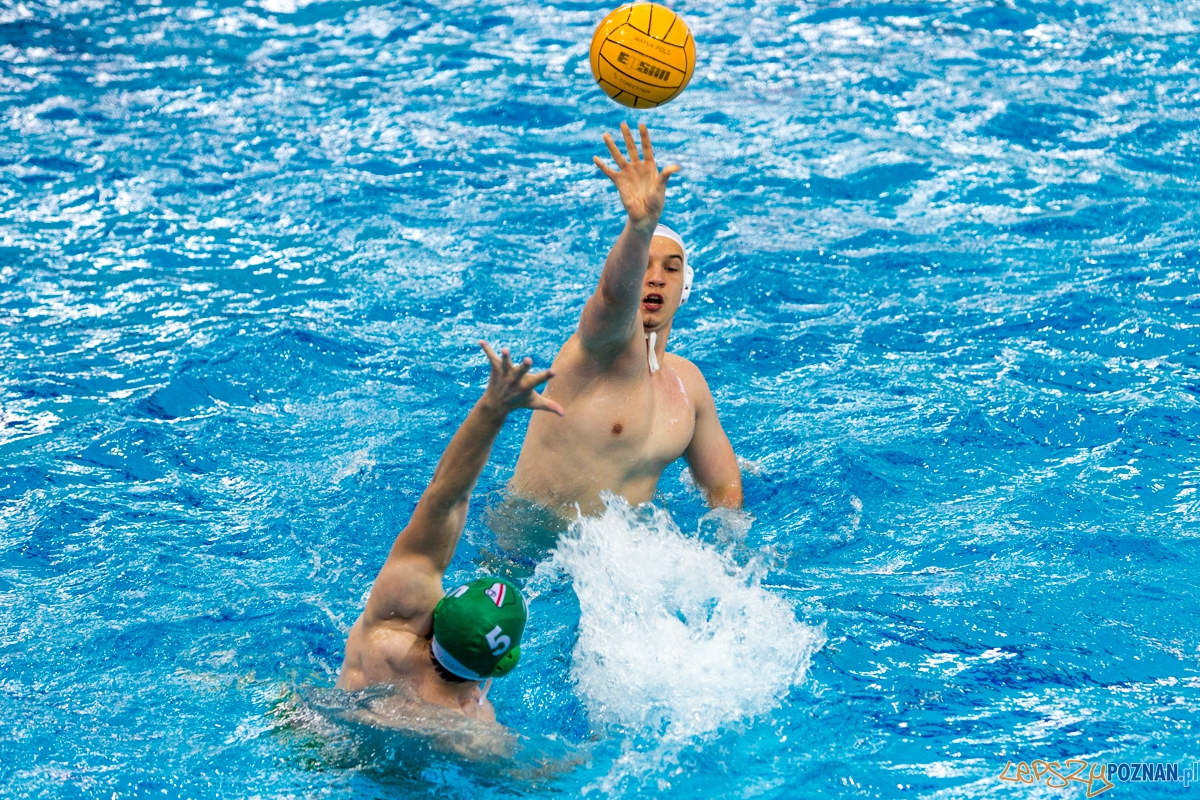DSW Waterpolo Poznań - UKPW Legia Warszawa Foto: lepszyPOZNAN.pl / Piotr Rychter DSW Waterpolo Poznań - UKPW Legia Warszawa Foto: lepszyPOZNAN.pl / Piotr Rychter