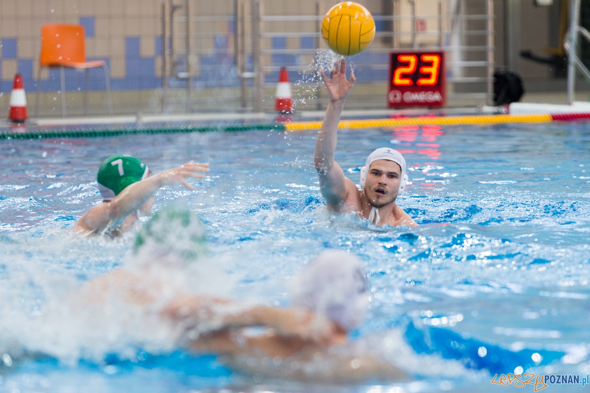 DSW Waterpolo Poznań - UKPW Legia Warszawa Foto: lepszyPOZNAN.pl / Piotr Rychter DSW Waterpolo Poznań - UKPW Legia Warszawa Foto: lepszyPOZNAN.pl / Piotr Rychter