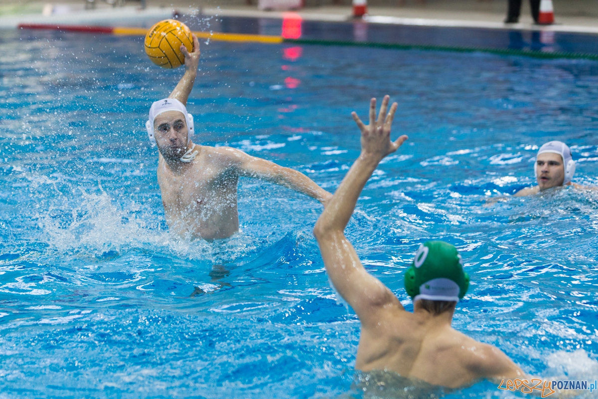 DSW Waterpolo Poznań - UKPW Legia Warszawa Foto: lepszyPOZNAN.pl / Piotr Rychter DSW Waterpolo Poznań - UKPW Legia Warszawa Foto: lepszyPOZNAN.pl / Piotr Rychter