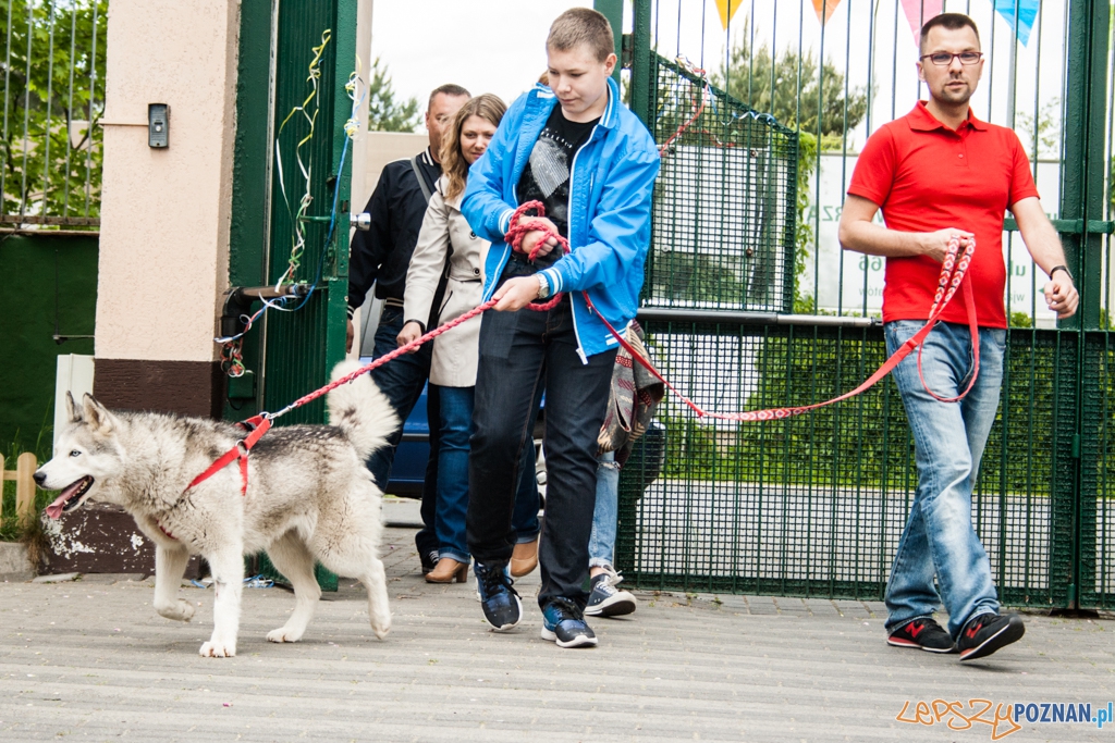 51. urodziny schroniska w Poznaniu (30.05.2015) Foto: © Karolina Kiraga 51. urodziny schroniska w Poznaniu (30.05.2015) Foto: © Karolina Kiraga