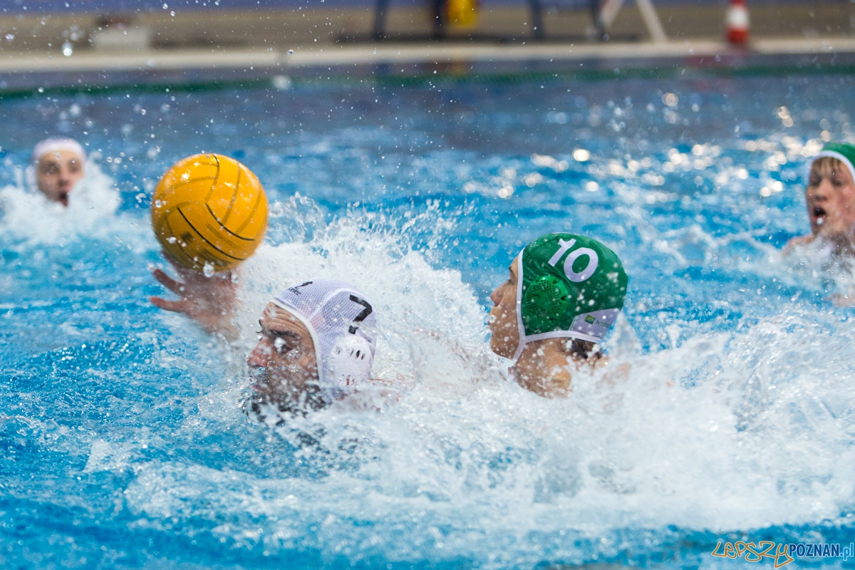 DSW Waterpolo Poznań - UKPW Legia Warszawa Foto: lepszyPOZNAN.pl / Piotr Rychter DSW Waterpolo Poznań - UKPW Legia Warszawa Foto: lepszyPOZNAN.pl / Piotr Rychter