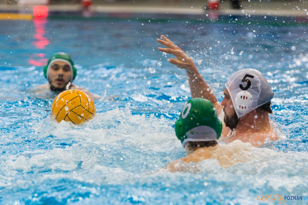 DSW Waterpolo Poznań - UKPW Legia Warszawa Foto: lepszyPOZNAN.pl / Piotr Rychter DSW Waterpolo Poznań - UKPW Legia Warszawa Foto: lepszyPOZNAN.pl / Piotr Rychter