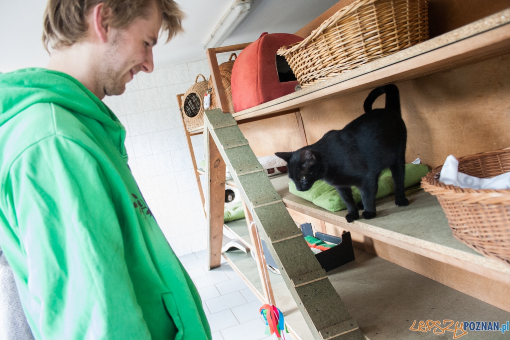 51. urodziny schroniska w Poznaniu (30.05.2015) Foto: © Karolina Kiraga 51. urodziny schroniska w Poznaniu (30.05.2015) Foto: © Karolina Kiraga