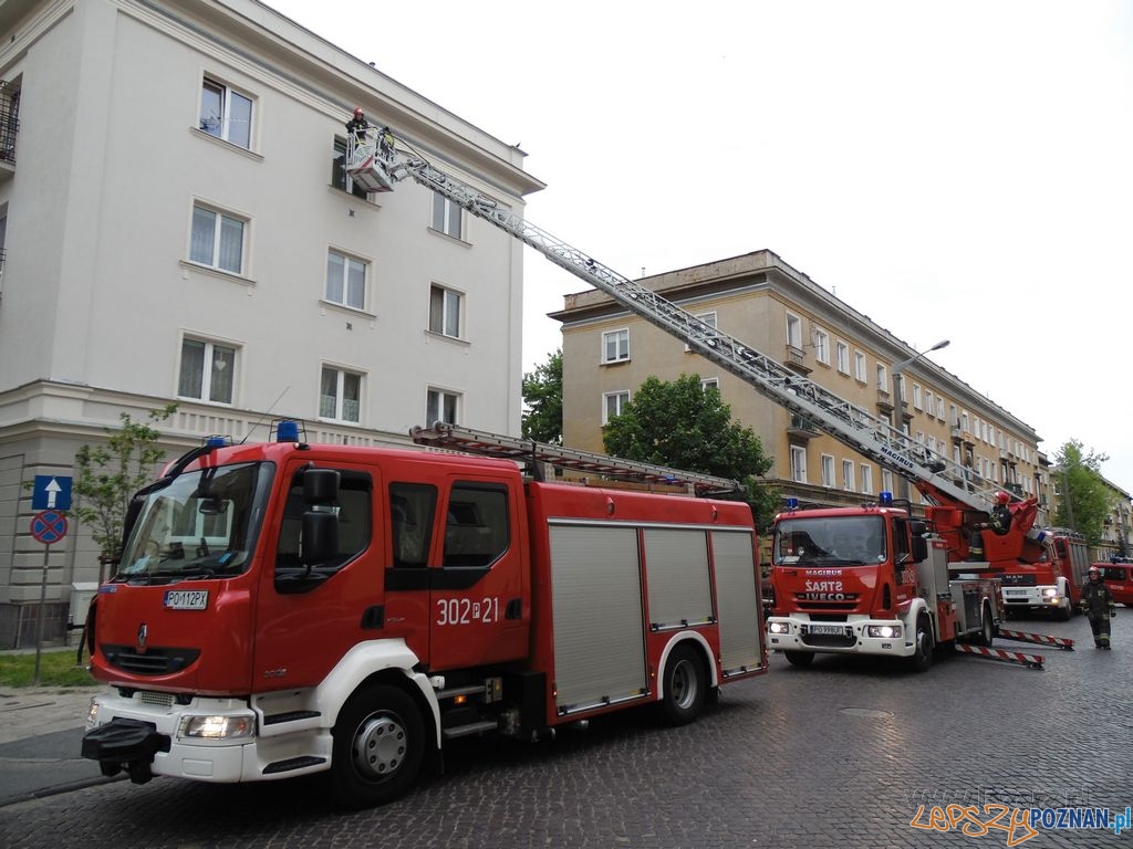 Strażacy ratowali desperatkę Foto: lazarz.pl / Janusz Ludwiczak Strażacy ratowali desperatkę Foto: lazarz.pl / Janusz Ludwiczak